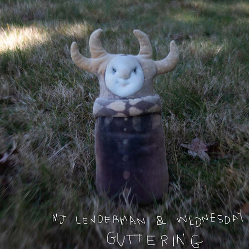 MJ Lenderman & Wednesday - Guttering EP