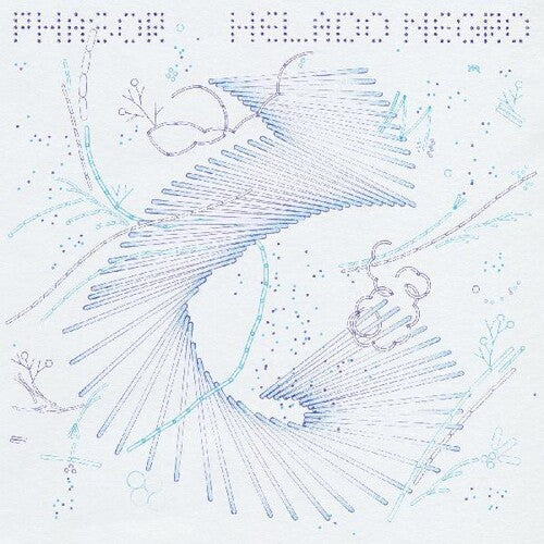 Helado Negro - Phasor