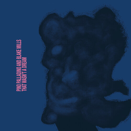Pino Palladino and Blake Mills - That Wasn't A Dream