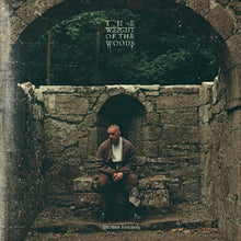 Load image into Gallery viewer, Dermot Kennedy - The Weight of the Woods
