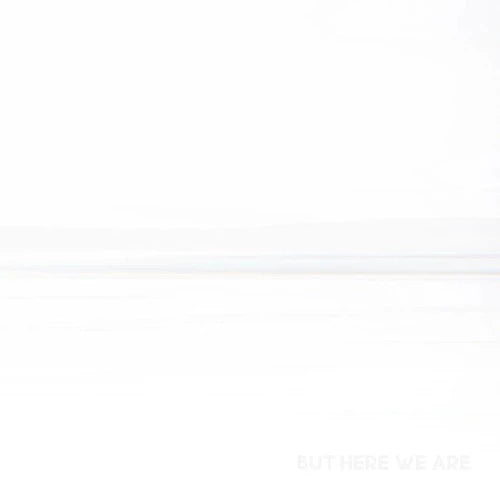 Foo Fighters - But Here We Are