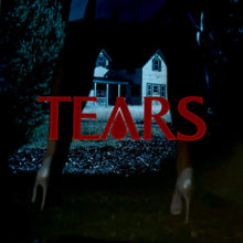 Load image into Gallery viewer, Sabrina Carpenter - Tears (7")
