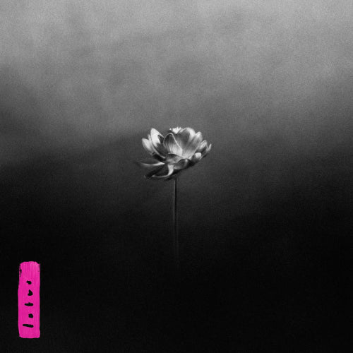 Little Simz - Lotus