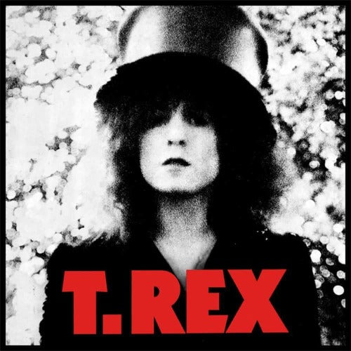 T. Rex - The Slider