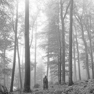 Taylor Swift - Folklore (In The Trees Edition)